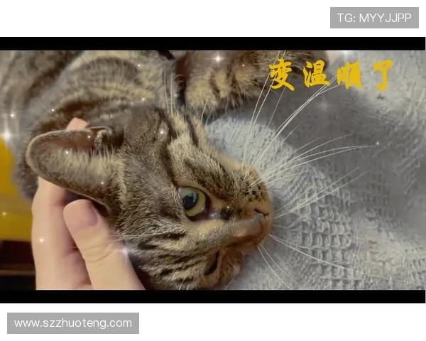 GAI 娣辨儏缈诲敱灏忓畤锛氭睙婀栫‖姹夌殑娓╂煍鍛婄櫧 GAI 娣辨儏缈诲敱灏忓畤锛氭睙婀栫‖姹夌殑娓╂煍鍛婄櫧